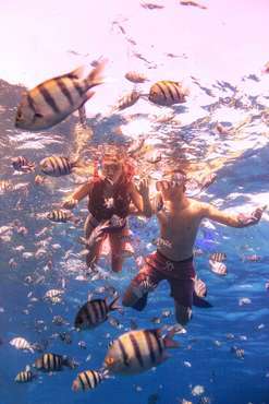 What to expect of a one day snorkeling trip?